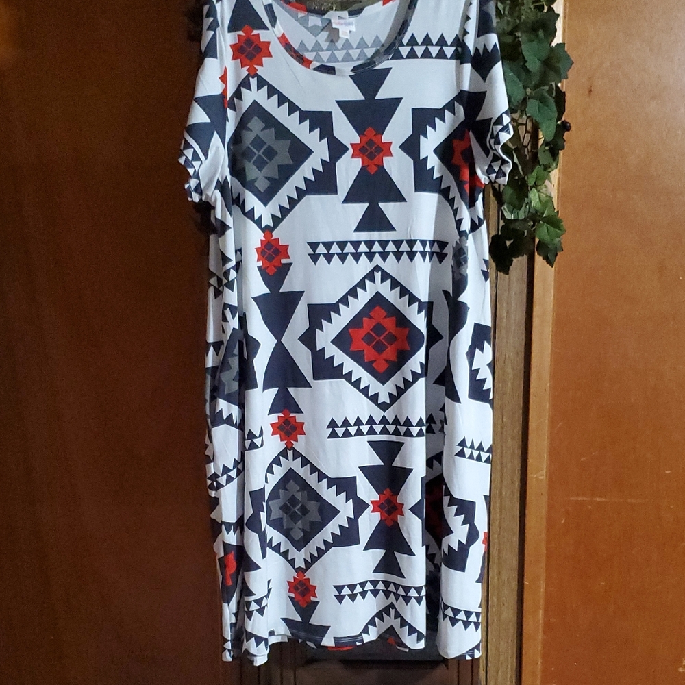 (CH) NWOT LuLaRoe Jessie Swing Dress